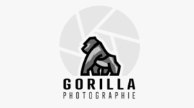 GORILLA PHOTOGRAPHIE
